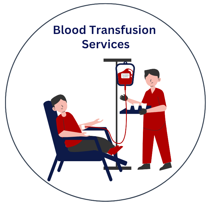 Blood Transfusion Services